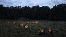 De autentiska fåren i Bergshamra med glow-effekt.